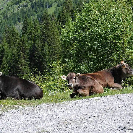 Horská chata Lechtaler Naturparkchalets Gramais