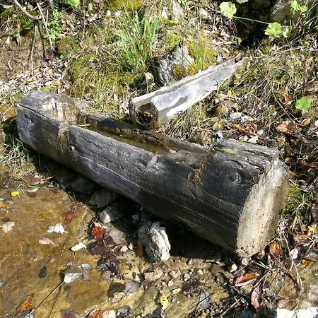 Lechtaler Naturparkchalets *