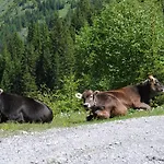 Chalé Lechtaler Naturparkchalets Gramais